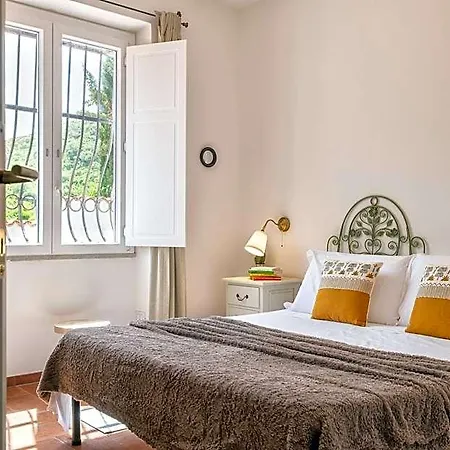 Otel Elighe